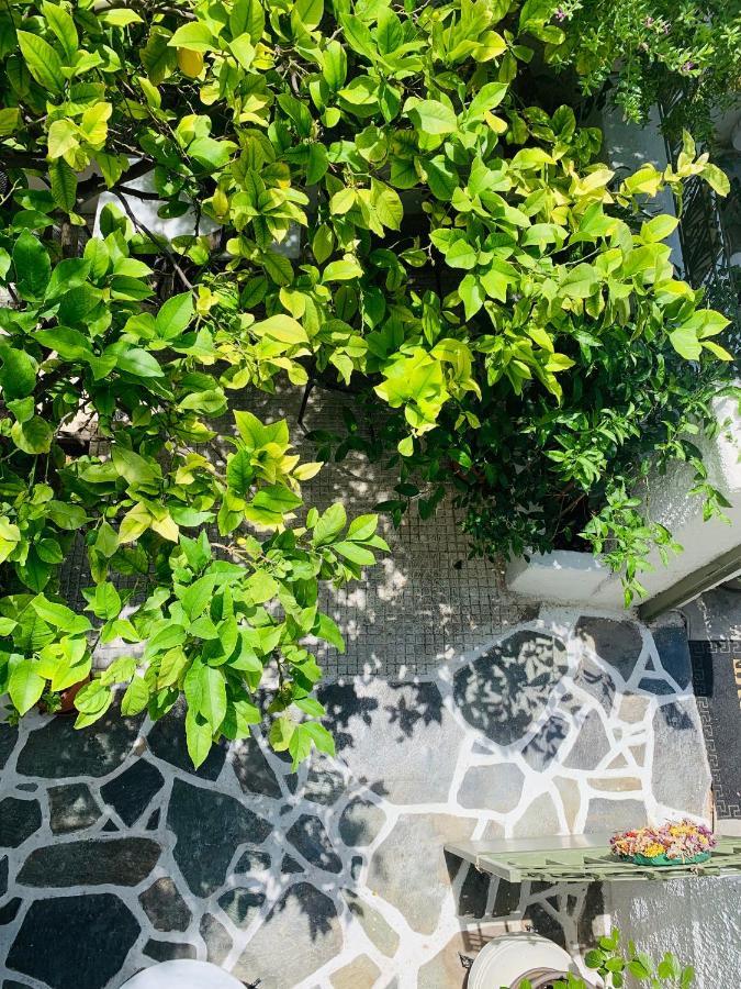 Costas Rooms Aegina Exterior foto